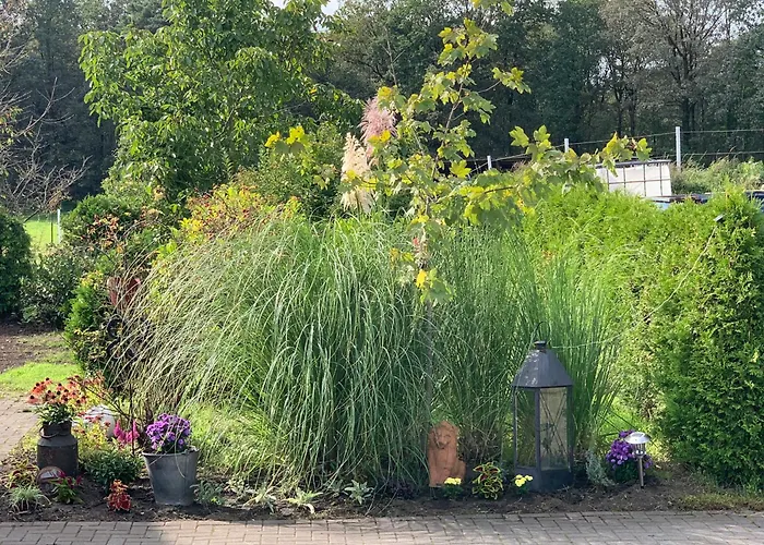 Schmugglerpatt Südlohn